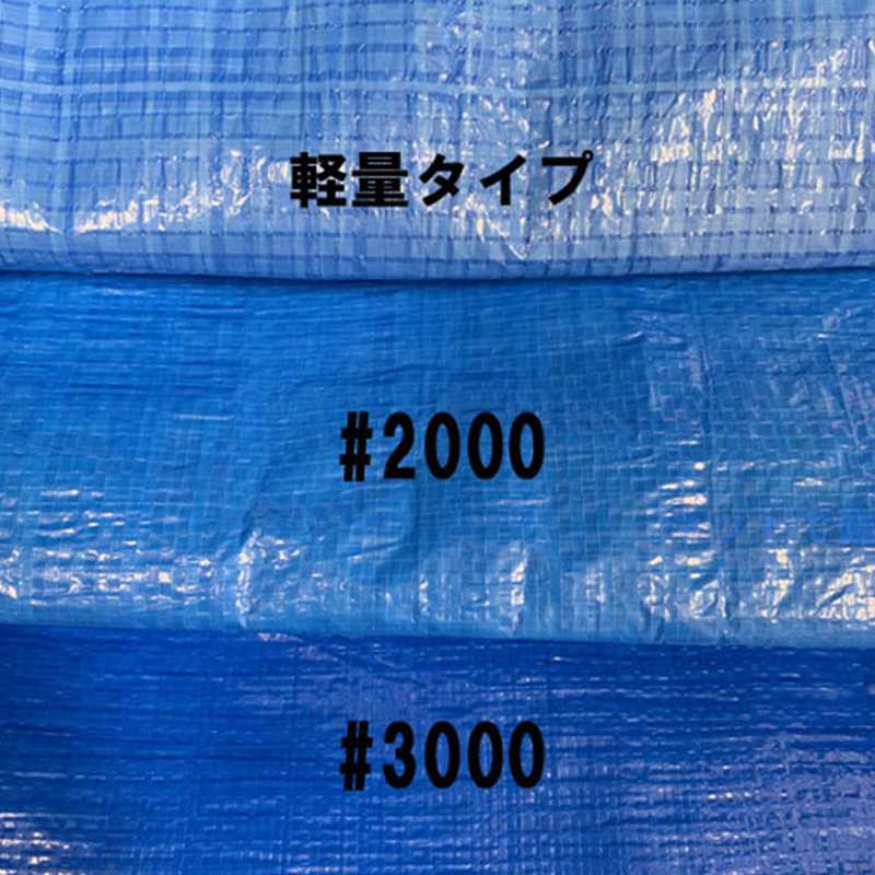 ブルーシート 養生資材 #3000 10.0m×10.0m 【ケース販売】 2枚入